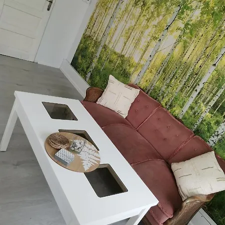 Prywatne Mieszkanie W Sercu Cieplic Apartamento